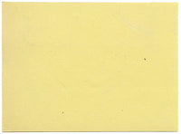 Anon., Mouse in Oyster Shell – Early 19th-century watercolour painting