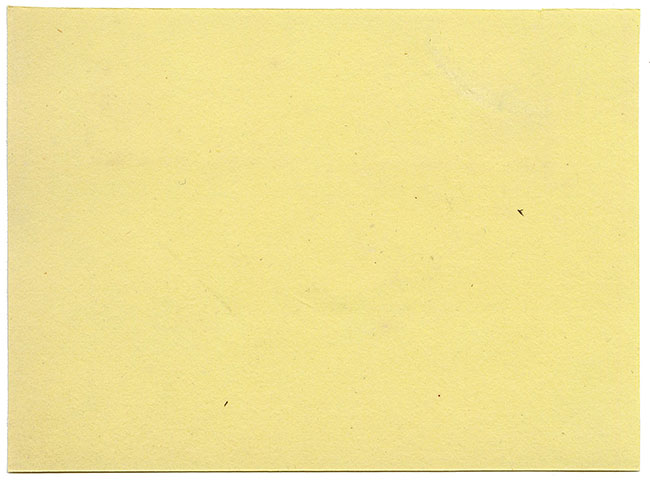 Anon., Mouse in Oyster Shell – Early 19th-century watercolour painting