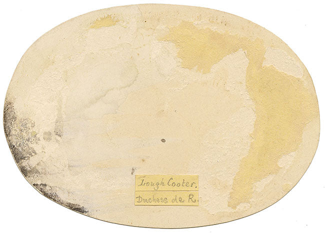 Harriet Elizabeth Stamer Duchess de Rovigo, Lough Cutra Castle (Lough Cooter), Galway, Ireland – Mid-19th-century gouache painting