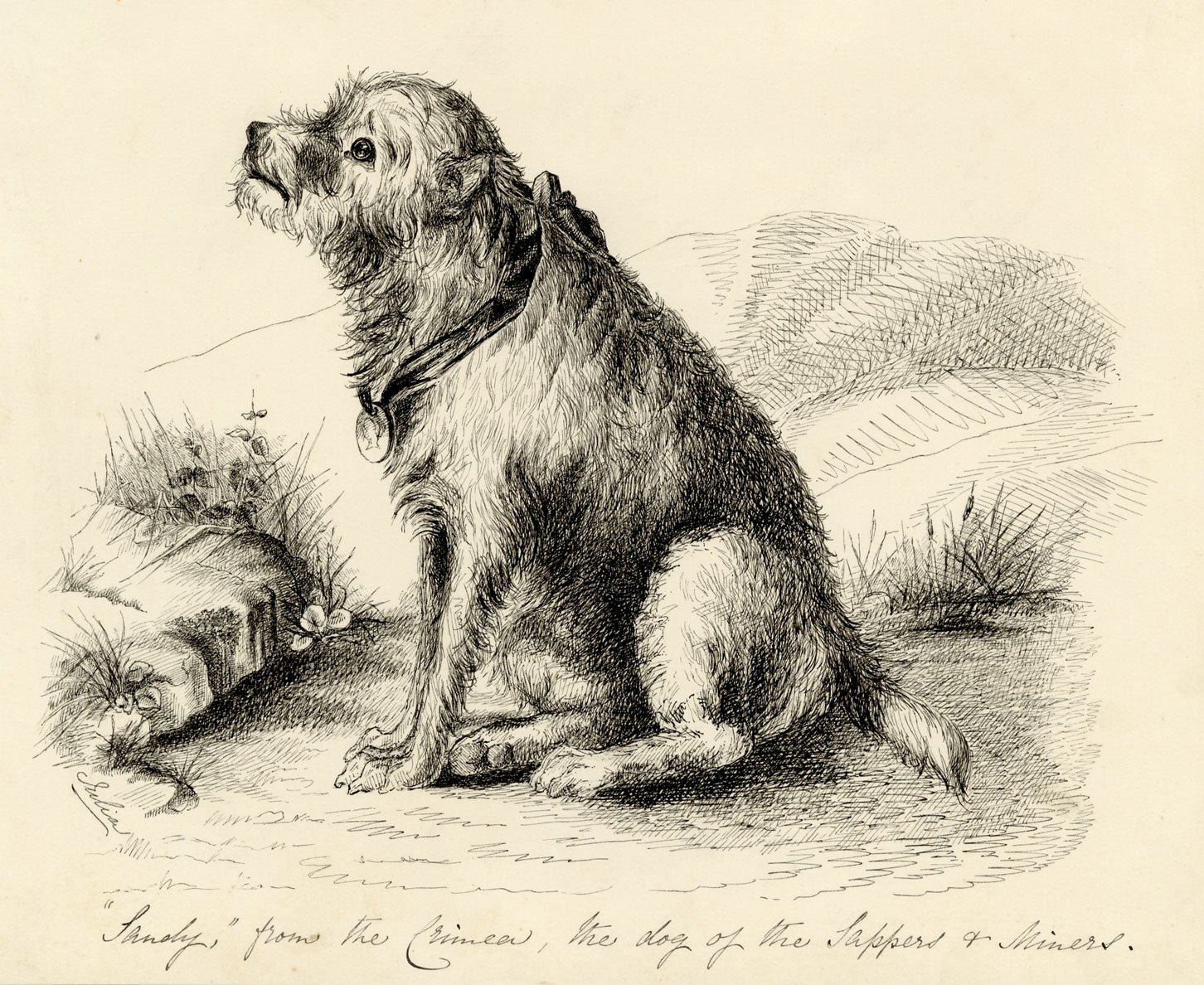 Hon. Julia Georgina Vereker, Sandy from the Crimea, Dog of the Sappers and Miners – Early 19th-century pen & ink drawing