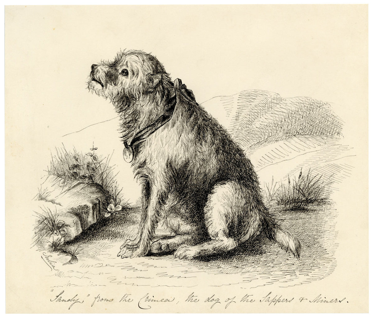 Hon. Julia Georgina Vereker, Sandy from the Crimea, Dog of the Sappers and Miners – Early 19th-century pen & ink drawing