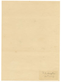 Hon. Isabella Sabrina O'Grady, Portrait of Thomas Francis Meagher – Mid-19th-century graphite drawing