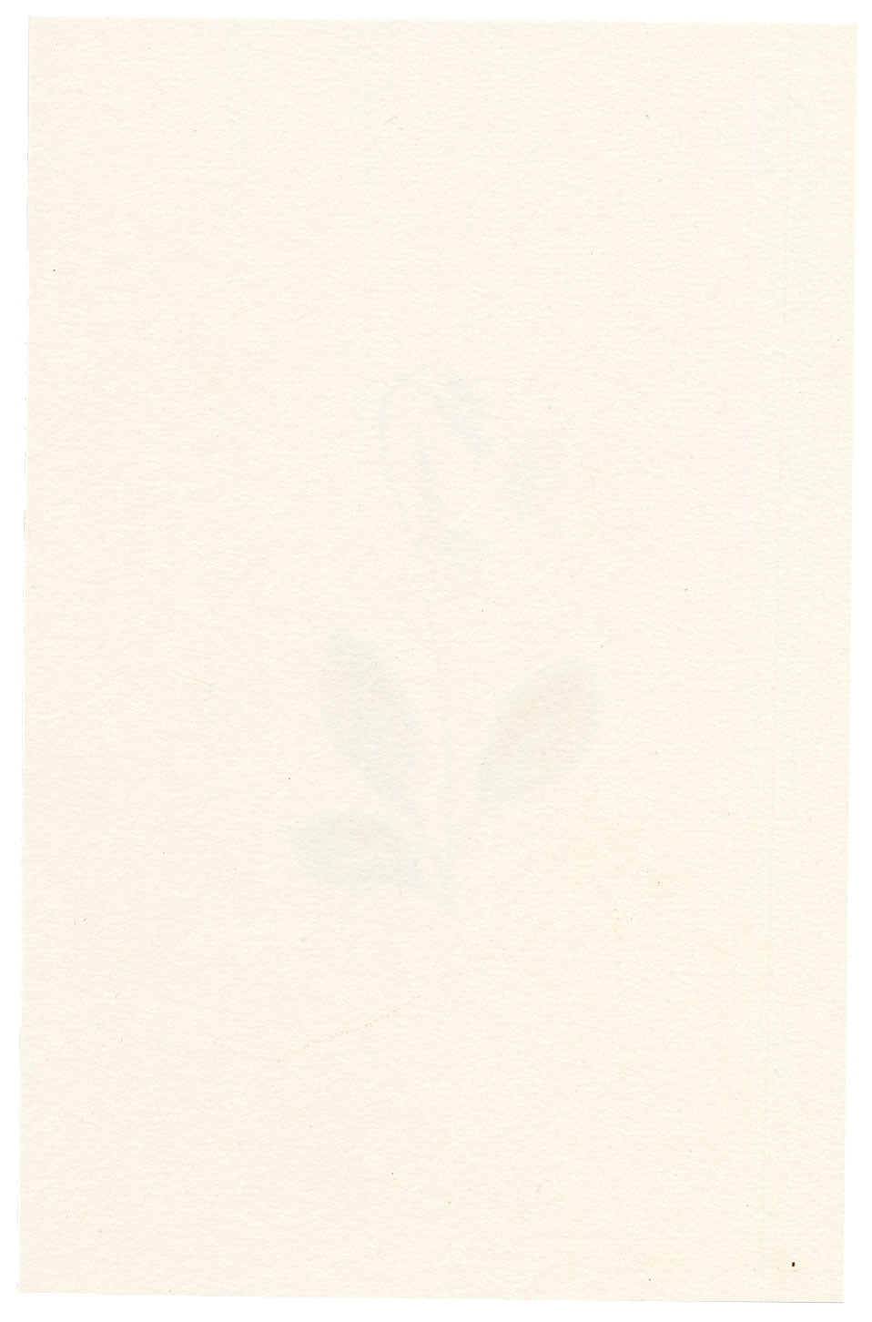 Falloon, Cowslip Flower, Switzerland – c.1905 watercolour painting