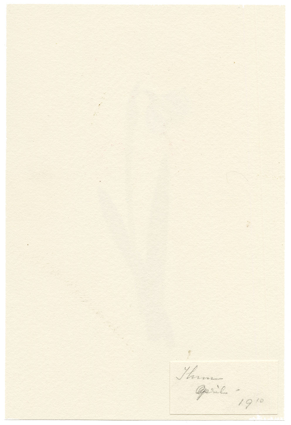 Falloon, Wild Narcissus White Daffodil Flower, Thun, Switzerland – 1910 watercolour painting