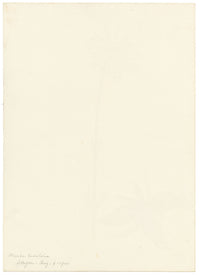 Falloon, Mountain Arnica Flower, Wengen, Switzerland – 1900 watercolour painting