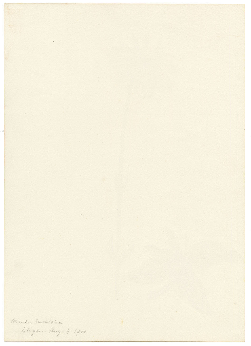 Falloon, Mountain Arnica Flower, Wengen, Switzerland – 1900 watercolour painting