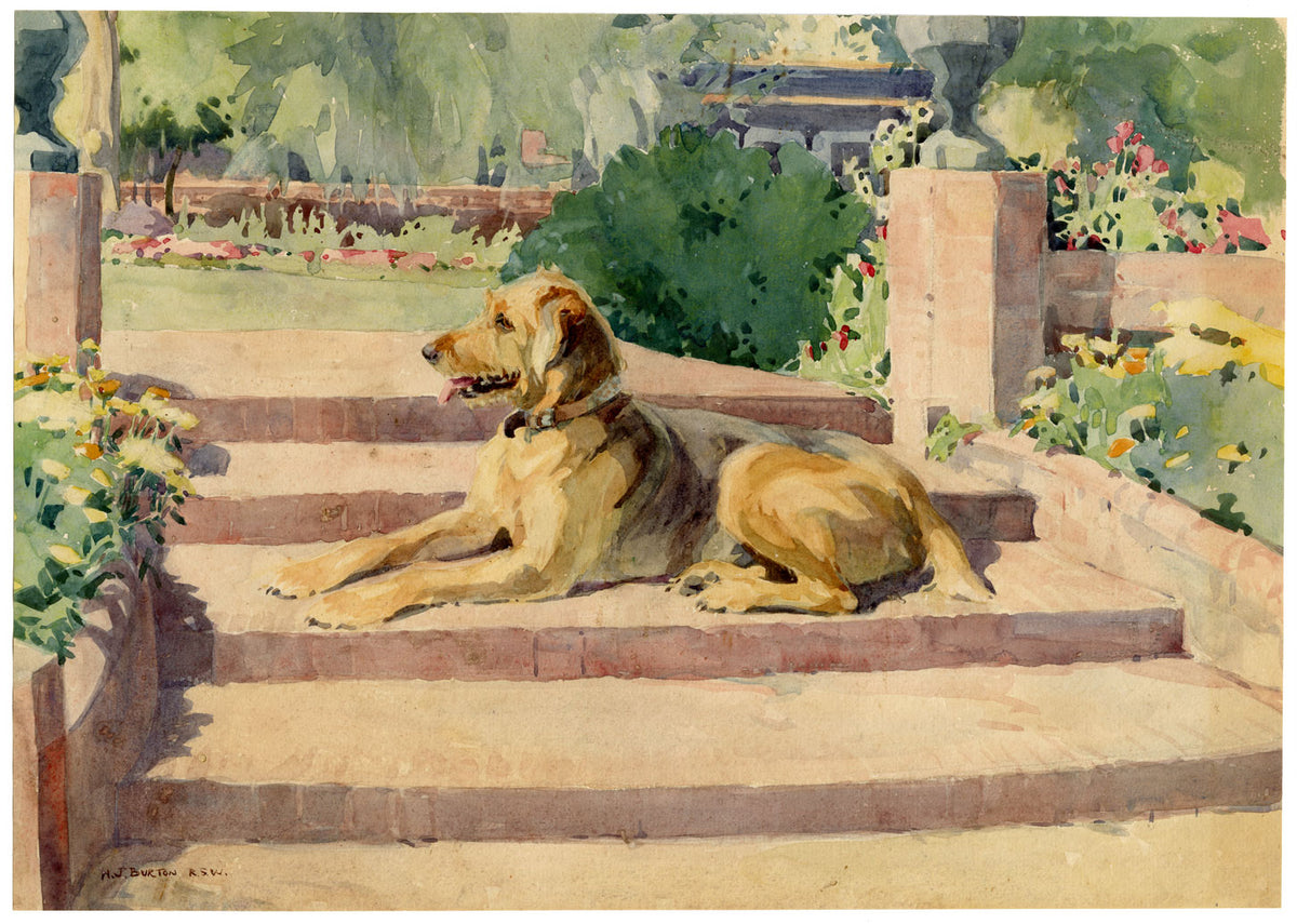 Nancy Jane Burton RWS, Terrier Dog on Garden Steps – c.1920s watercolour painting