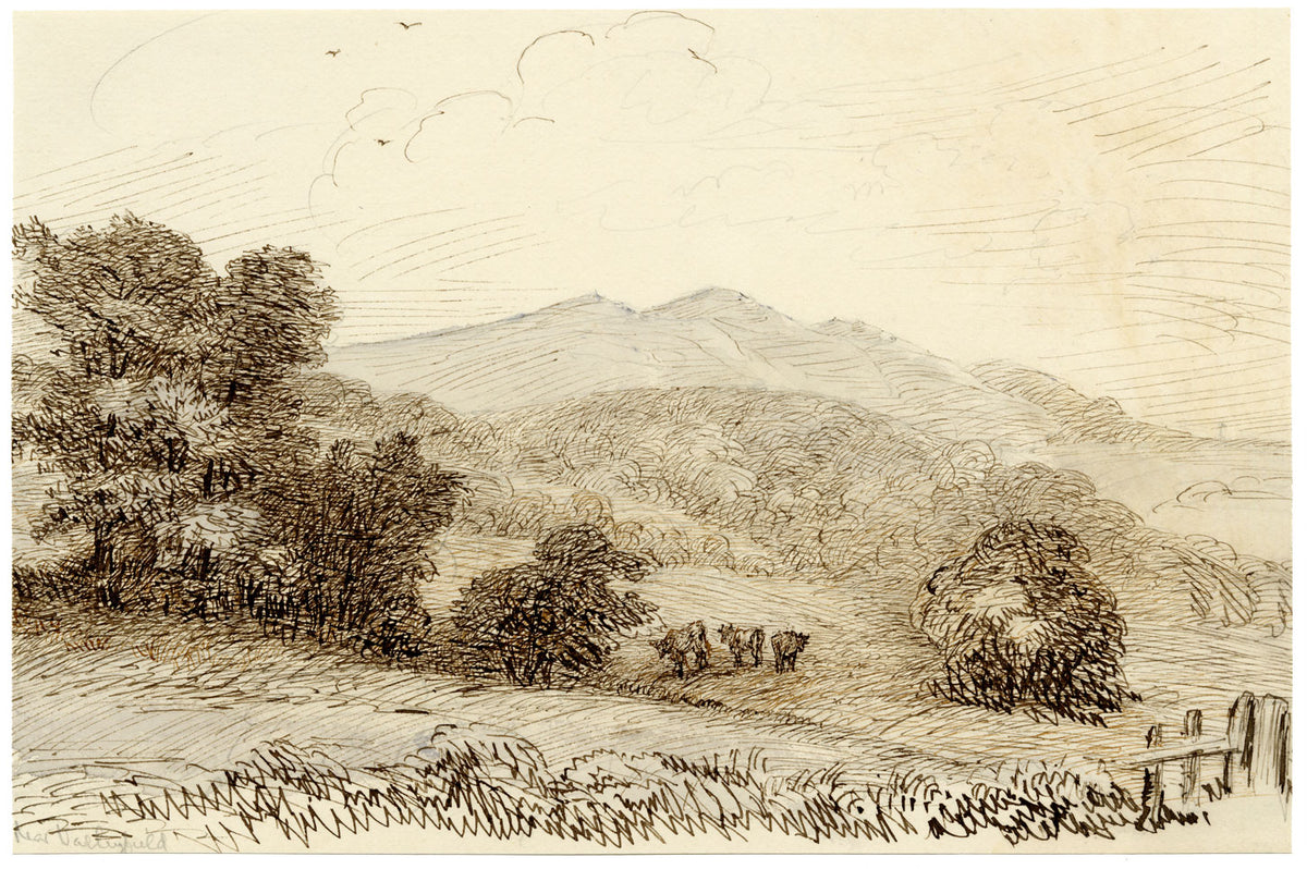 John Wilson of Seacroft Hall, Cows Grazing near Valleyfield, Fife, Scotland – c.1870s pen & ink drawing
