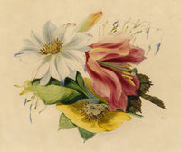James Holland OWS, Flower Posy with Tulip & Clematis – Mid-19th-century watercolour painting