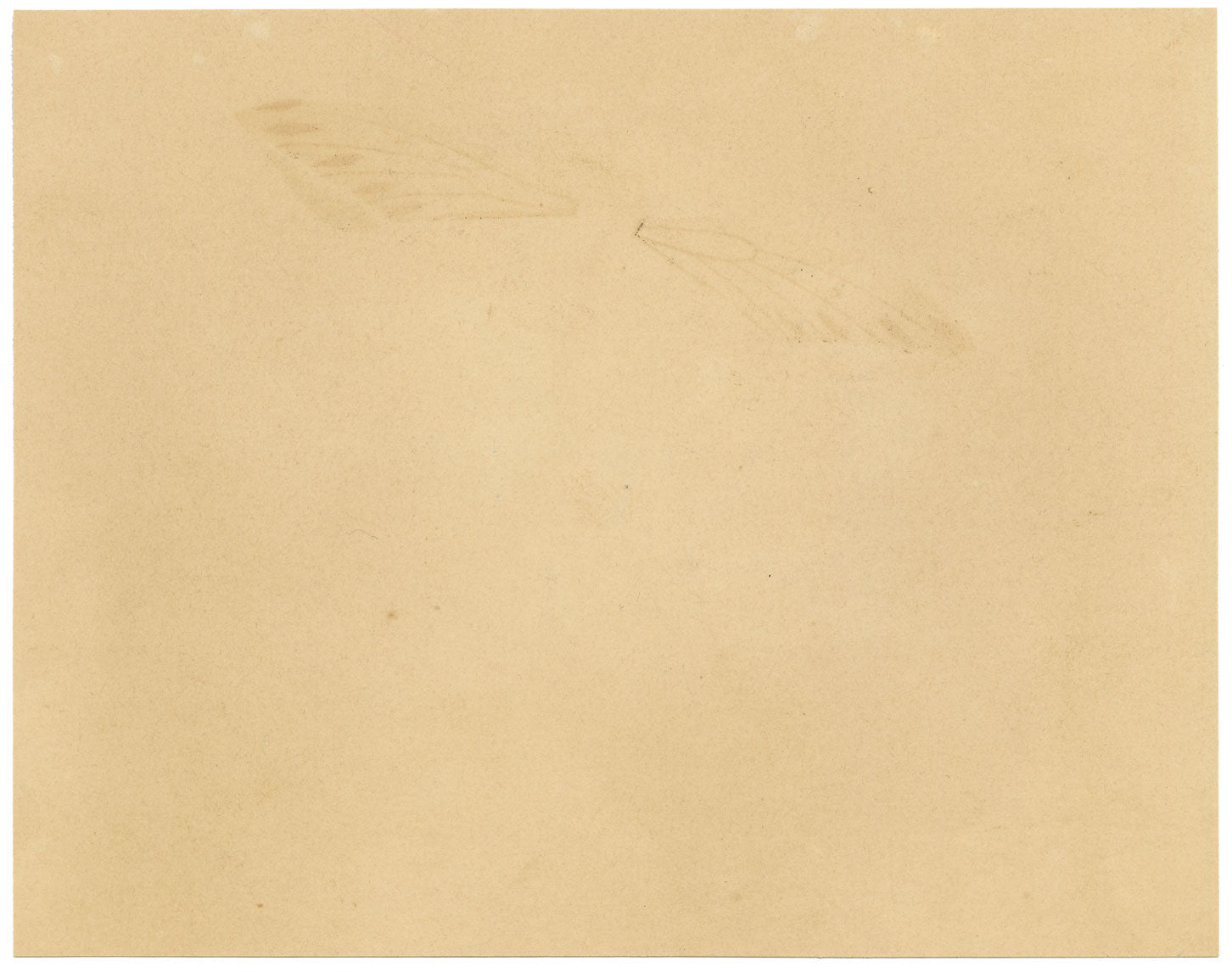 James Holland OWS, Flower Posy with Tulip & Clematis – Mid-19th-century watercolour painting