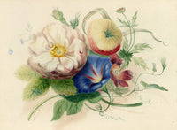 Circle of James Holland OWS, Flower Posy with Morning Glory & Rose – Mid-19th-century watercolour painting