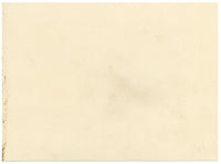 Circle of James Holland OWS, Flower Posy with Morning Glory & Rose – Mid-19th-century watercolour painting