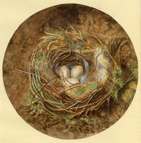 Anon., Bird's Nest Roundel Still Life – c.1840s watercolour painting