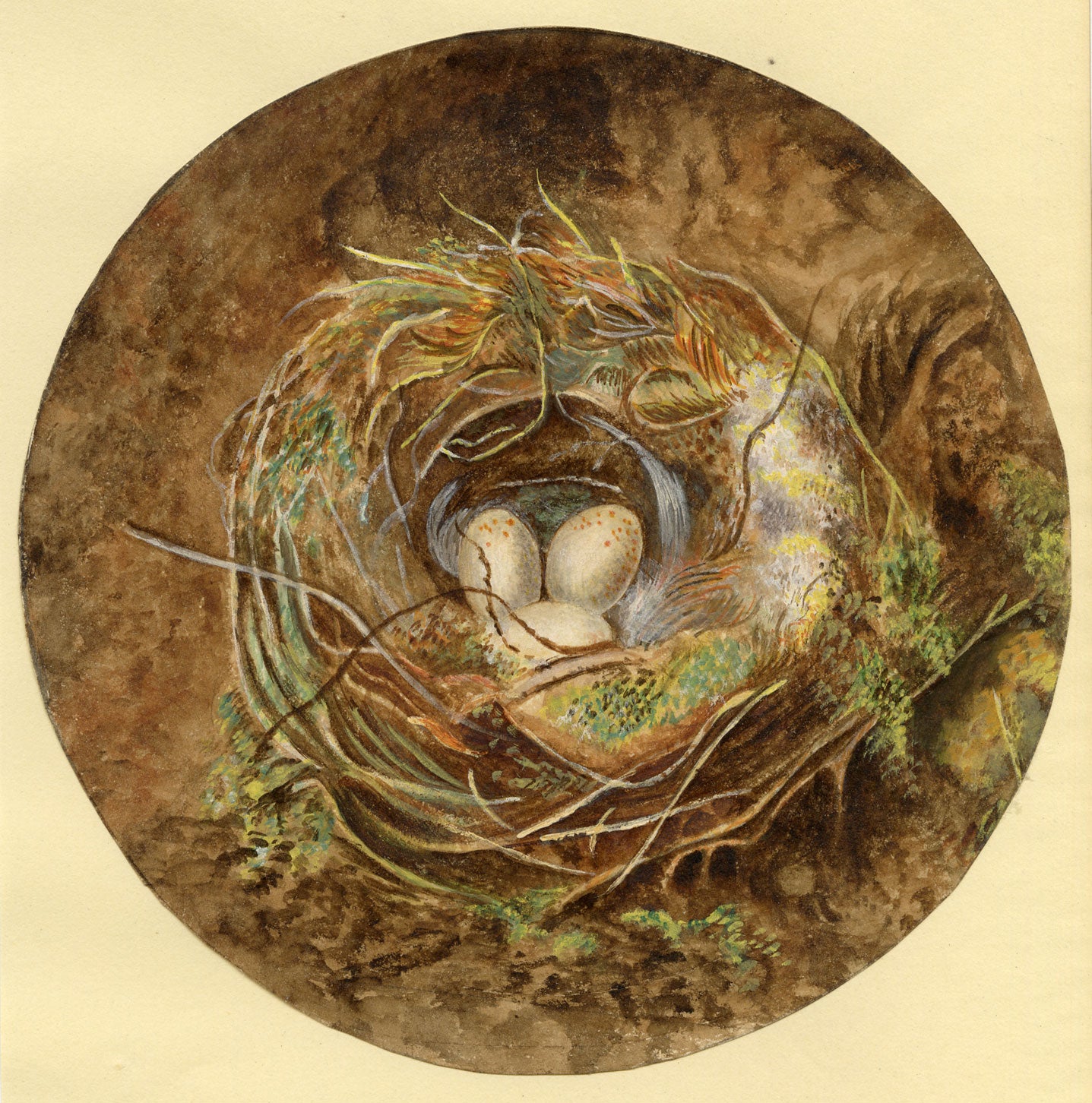 Anon., Bird's Nest Roundel Still Life – c.1840s watercolour painting