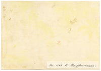 Whylock Pendavis, On Road to Pamplemousses, Mauritius – 1896 watercolour painting