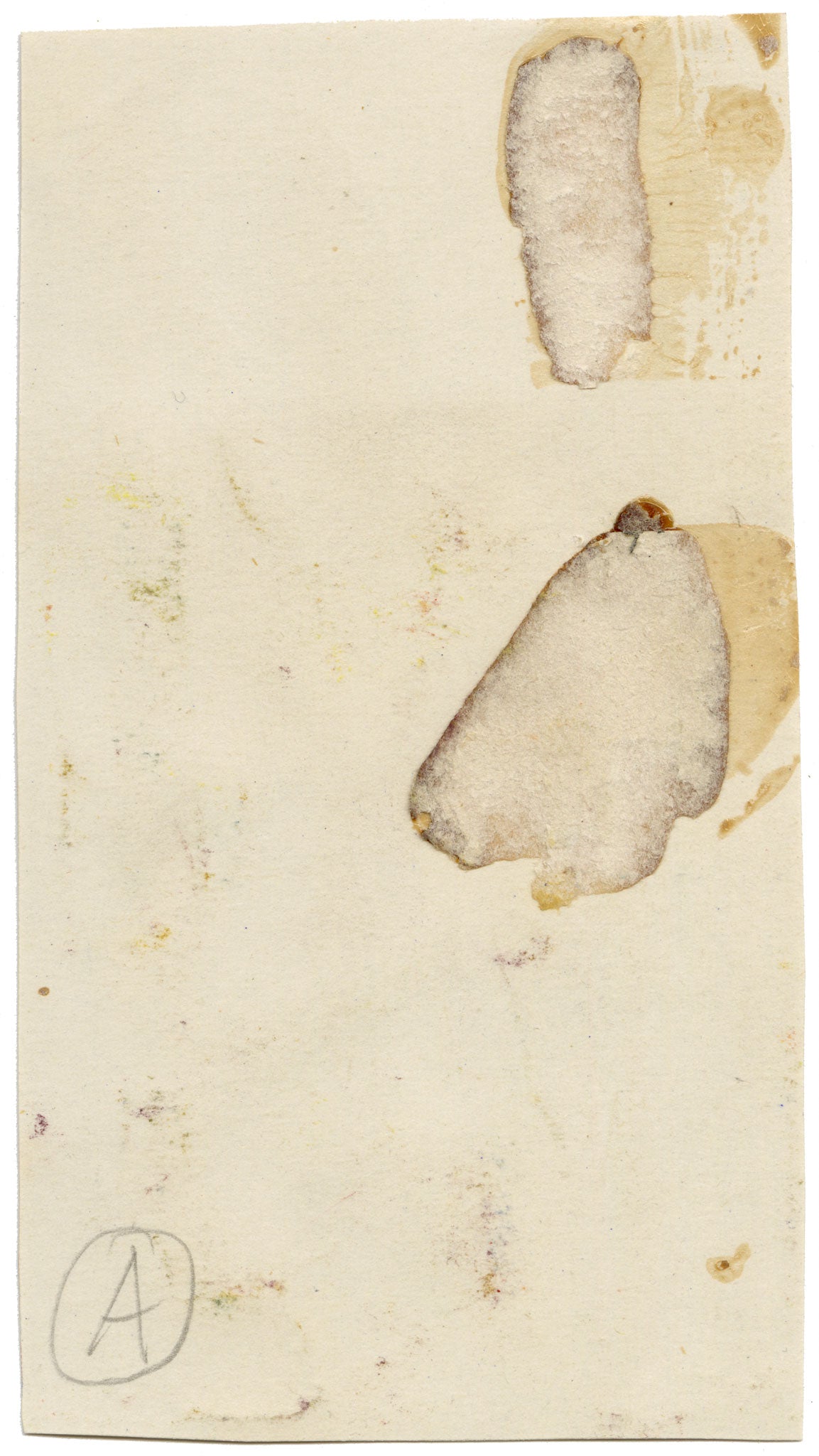 Anon., Antique French Textile Design: Indian Mughal Floral – 1880s gouache painting