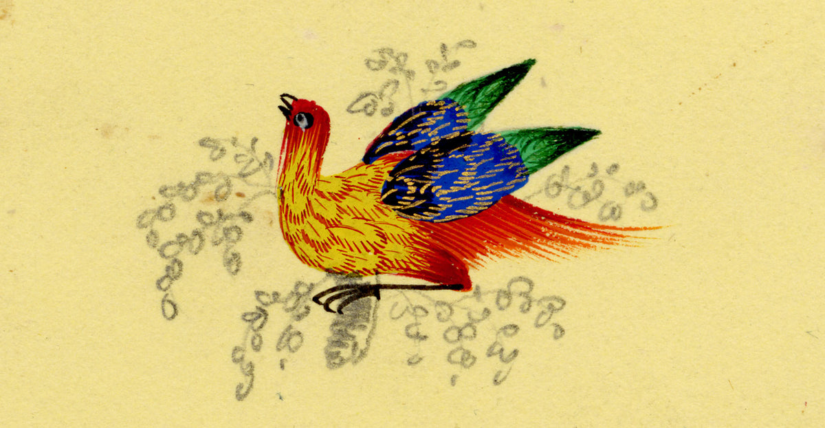 Anon., Miniature Bird of Paradise – Early 19th-century watercolour painting