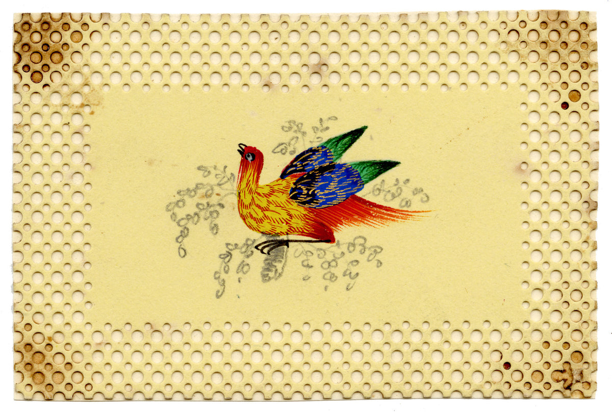 Anon., Miniature Bird of Paradise – Early 19th-century watercolour painting