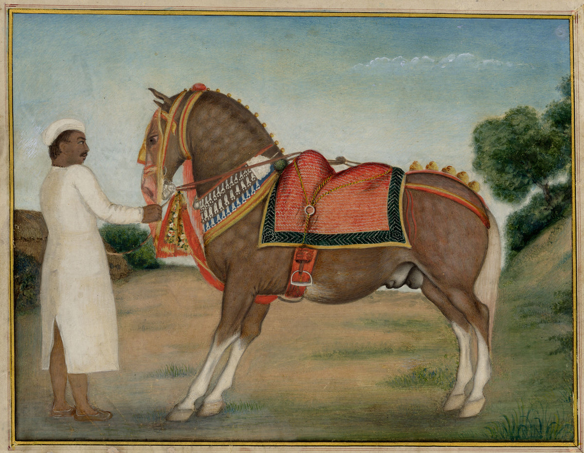 Indian Company School, A Caparisoned Horse & Groom, Possibly Skinner's Horse – Early 19th-century gouache painting