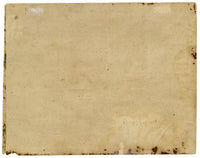 Indian Company School, A Caparisoned Horse & Groom, Possibly Skinner's Horse – Early 19th-century gouache painting