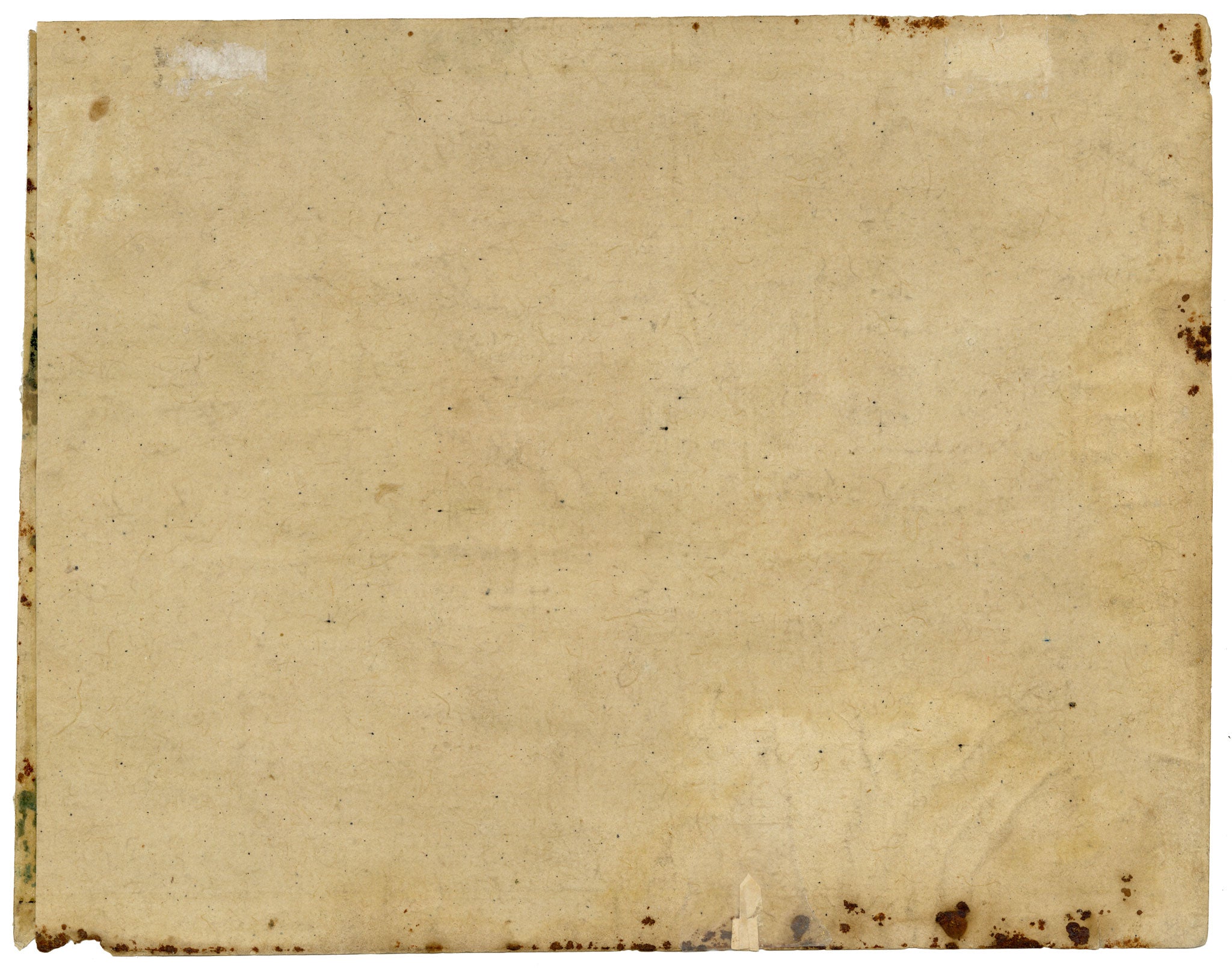 Indian Company School, A Caparisoned Horse & Groom, Possibly Skinner's Horse – Early 19th-century gouache painting