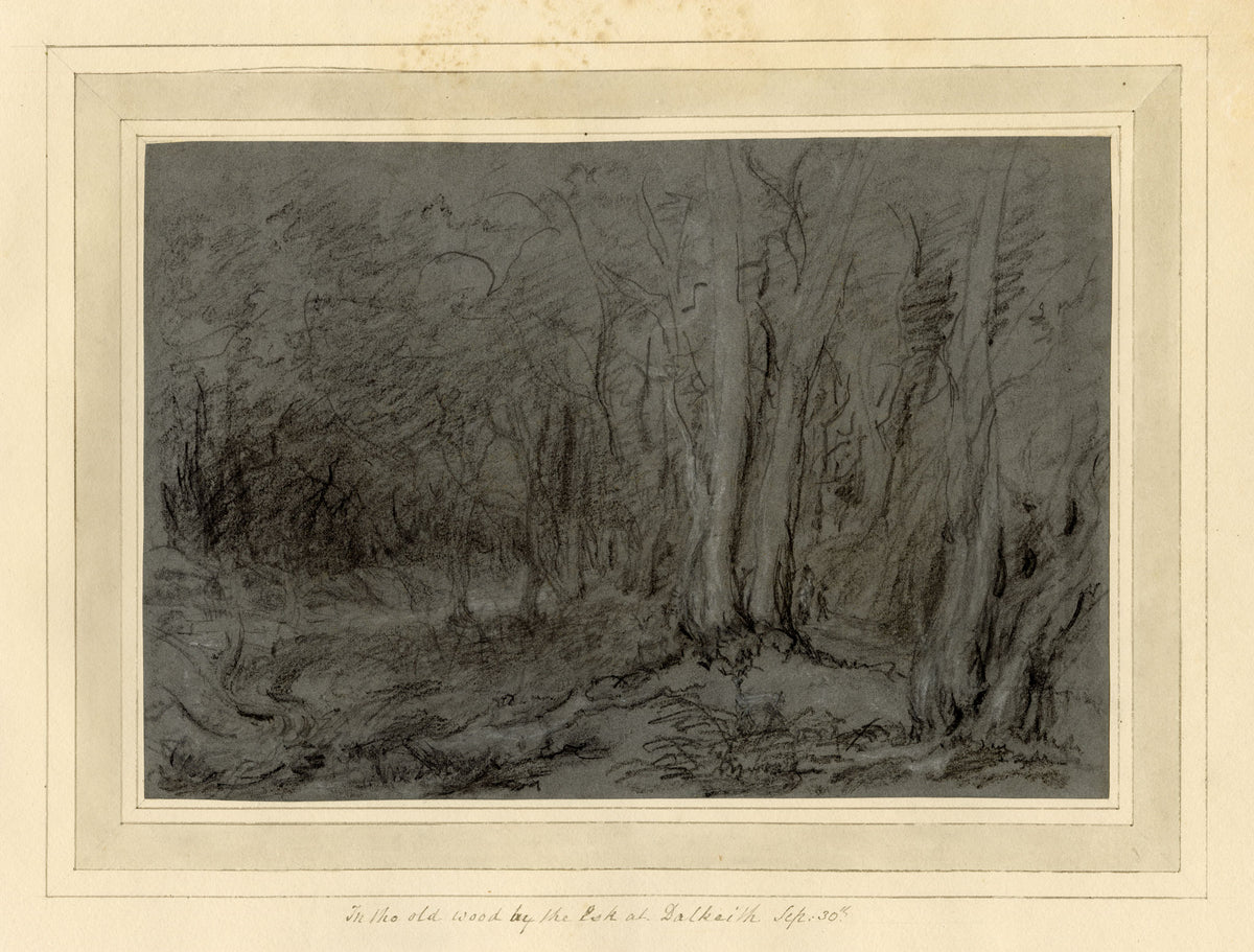Mary Ann J. Thynne, In the Old Wood by the Esk at Dalkeith, Midlothian, Scotland – 1837 chalk drawing