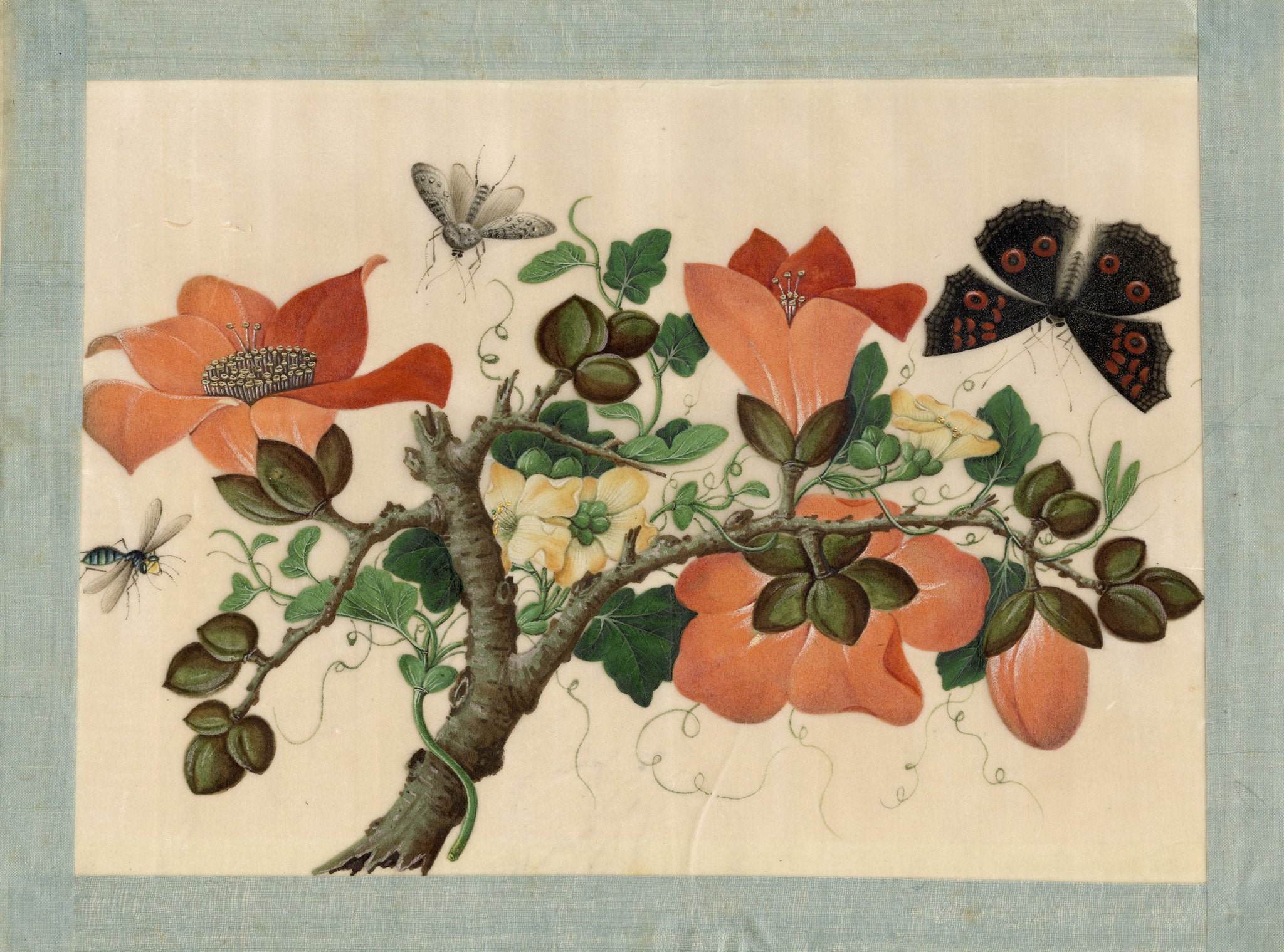 Circle of Tingqua, 19th-century Chinese Pith Painting – Flowering Branch with Butterfly & Insects