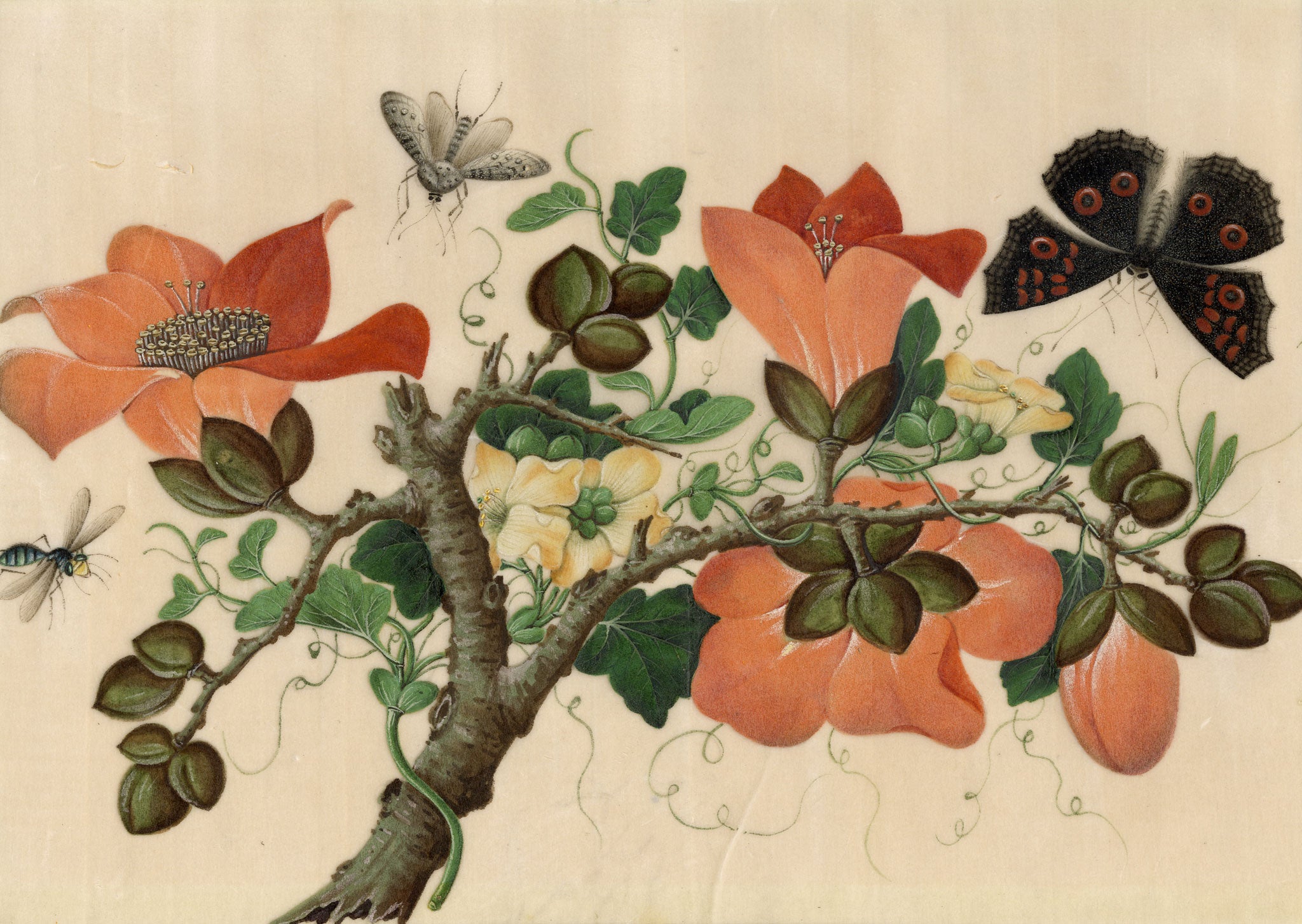Circle of Tingqua, 19th-century Chinese Pith Painting – Flowering Branch with Butterfly & Insects