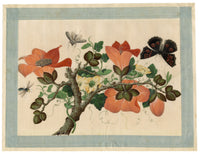 Circle of Tingqua, 19th-century Chinese Pith Painting – Flowering Branch with Butterfly & Insects