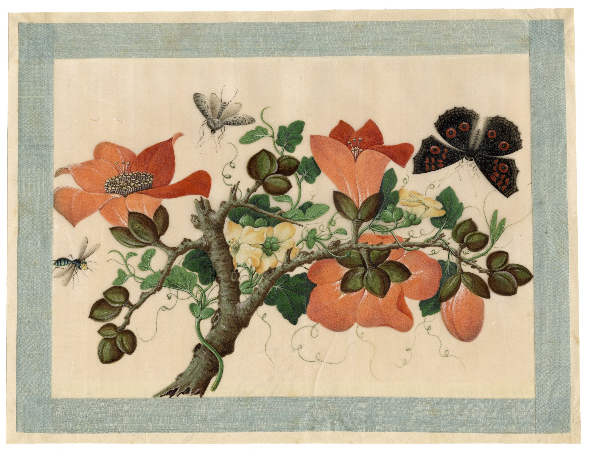 Circle of Tingqua, 19th-century Chinese Pith Painting – Flowering Branch with Butterfly & Insects
