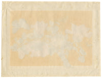 Circle of Tingqua, 19th-century Chinese Pith Painting – Flowering Branch with Butterfly & Insects