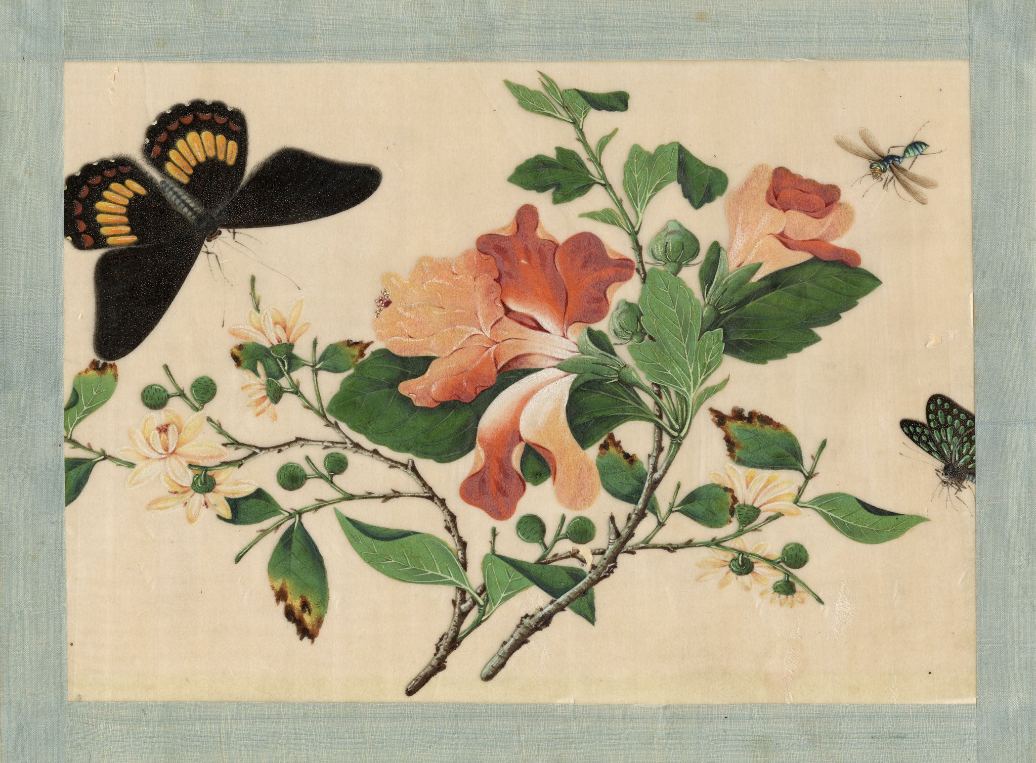 Circle of Tingqua, 19th-century Chinese Pith Painting – Flowering Branch with Butterflies & Insect