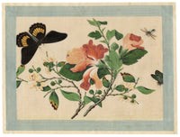 Circle of Tingqua, 19th-century Chinese Pith Painting – Flowering Branch with Butterflies & Insect