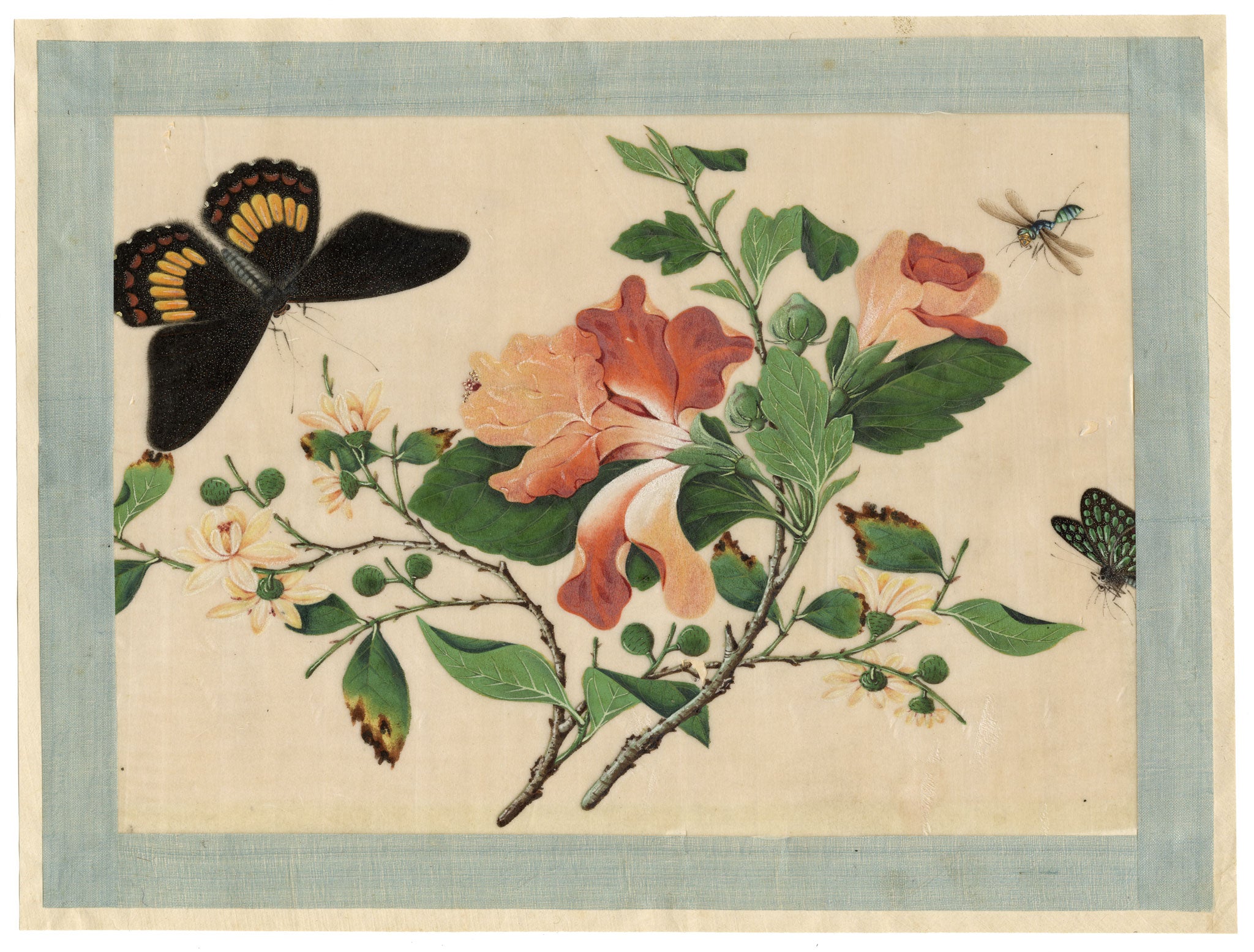 Circle of Tingqua, 19th-century Chinese Pith Painting – Flowering Branch with Butterflies & Insect