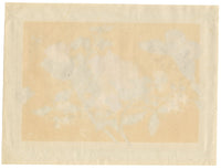 Circle of Tingqua, 19th-century Chinese Pith Painting – Flowering Branch with Butterflies & Insect