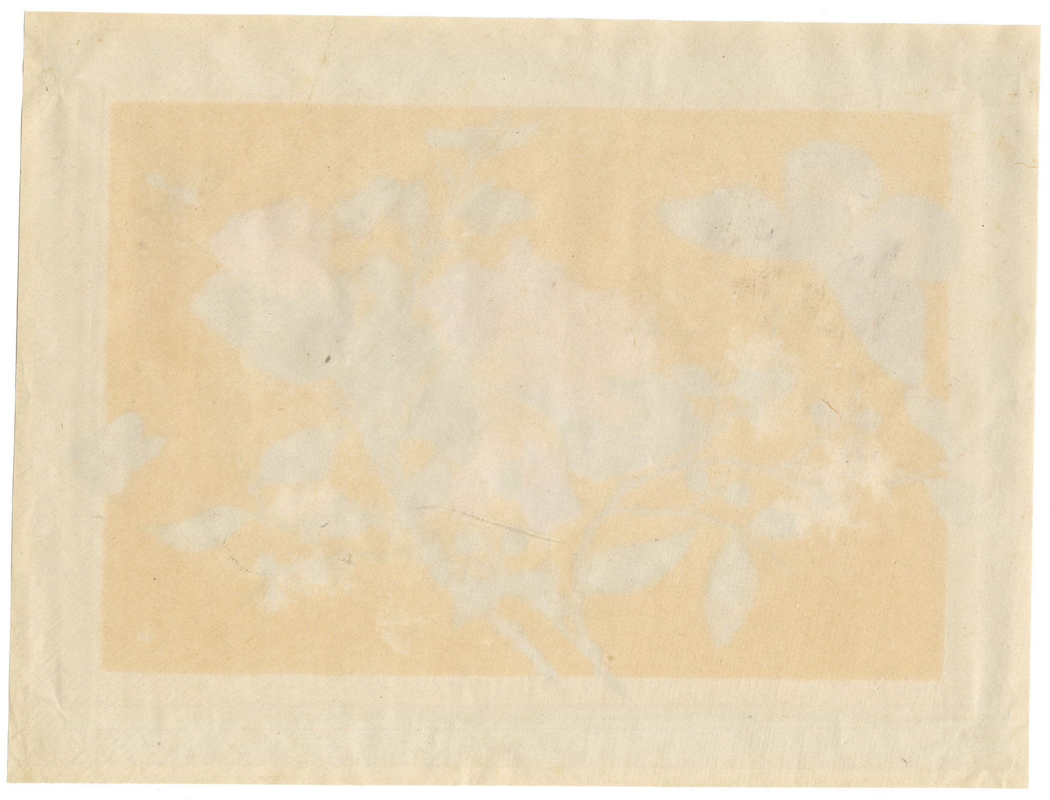 Circle of Tingqua, 19th-century Chinese Pith Painting – Flowering Branch with Butterflies & Insect