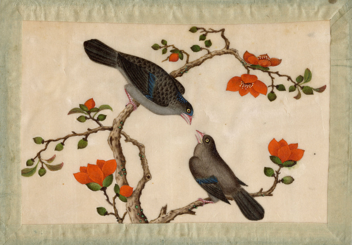 Antique 19th-century Chinese Pith Painting – Pair of Dove or Pigeon Birds on Flowering Branch