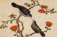 Antique 19th-century Chinese Pith Painting – Pair of Dove or Pigeon Birds on Flowering Branch