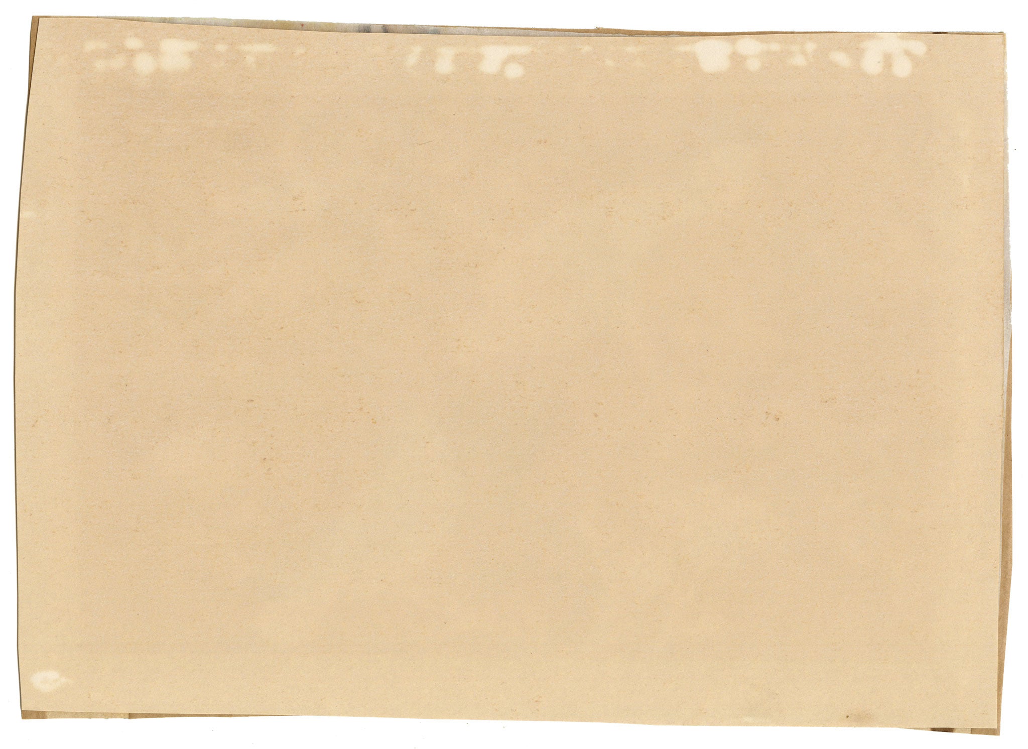 Antique 19th-century Chinese Pith Painting – Pair of Dove or Pigeon Birds on Flowering Branch