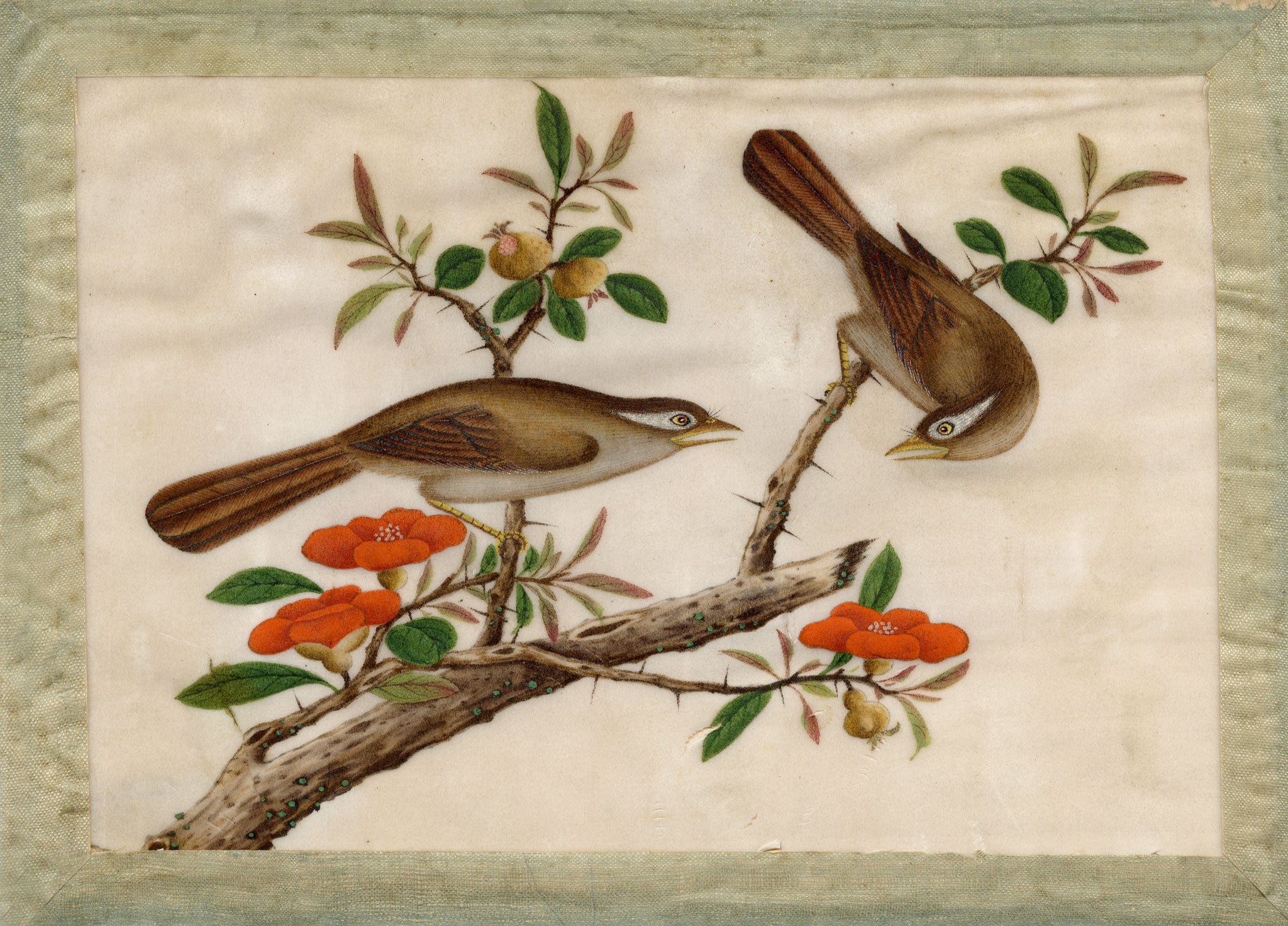 Antique 19th-century Chinese Pith Painting – Pair of Hwamei Birds on Persimmon Branch