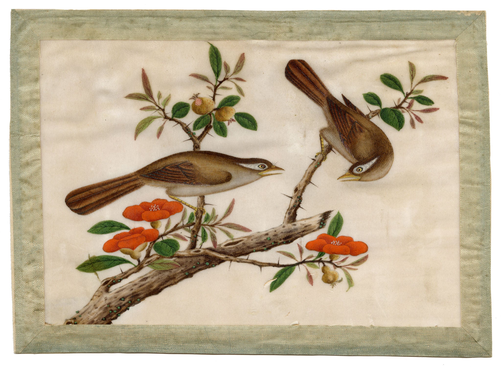 Antique 19th-century Chinese Pith Painting – Pair of Hwamei Birds on Persimmon Branch