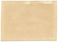 Antique 19th-century Chinese Pith Painting – Pair of Hwamei Birds on Persimmon Branch