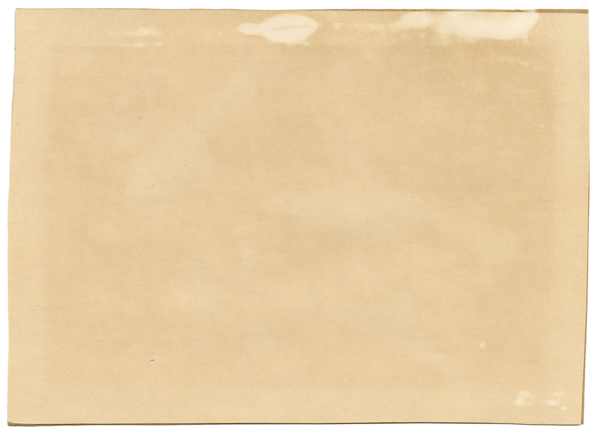 Antique 19th-century Chinese Pith Painting – Pair of Hwamei Birds on Persimmon Branch