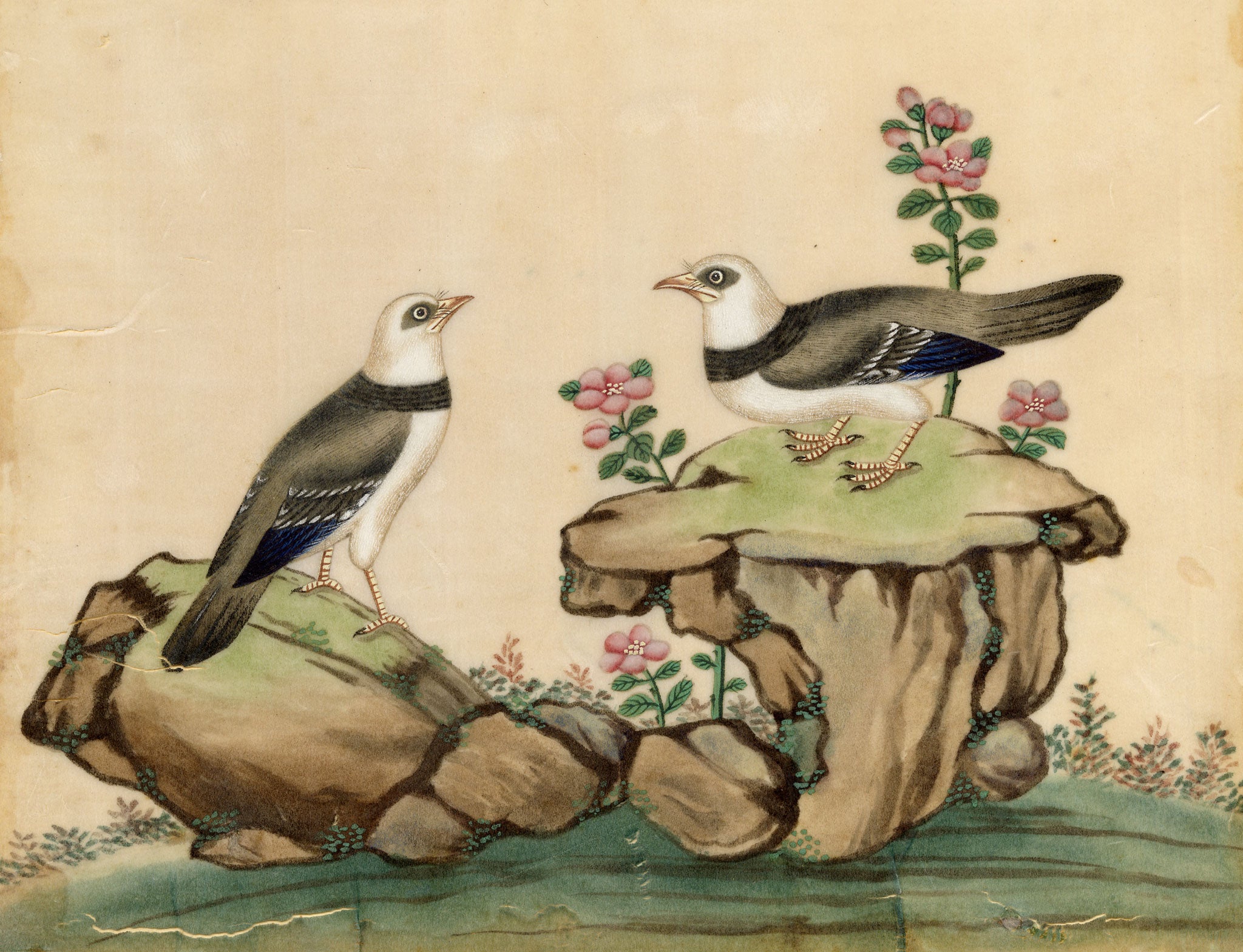 Antique 19th-century Chinese Pith Painting – Pair of Burmese Myna Birds on Rocks