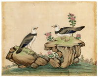 Antique 19th-century Chinese Pith Painting – Pair of Burmese Myna Birds on Rocks