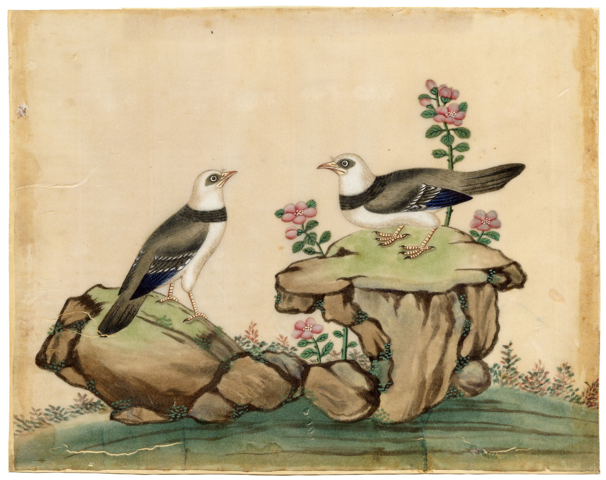 Antique 19th-century Chinese Pith Painting – Pair of Burmese Myna Birds on Rocks