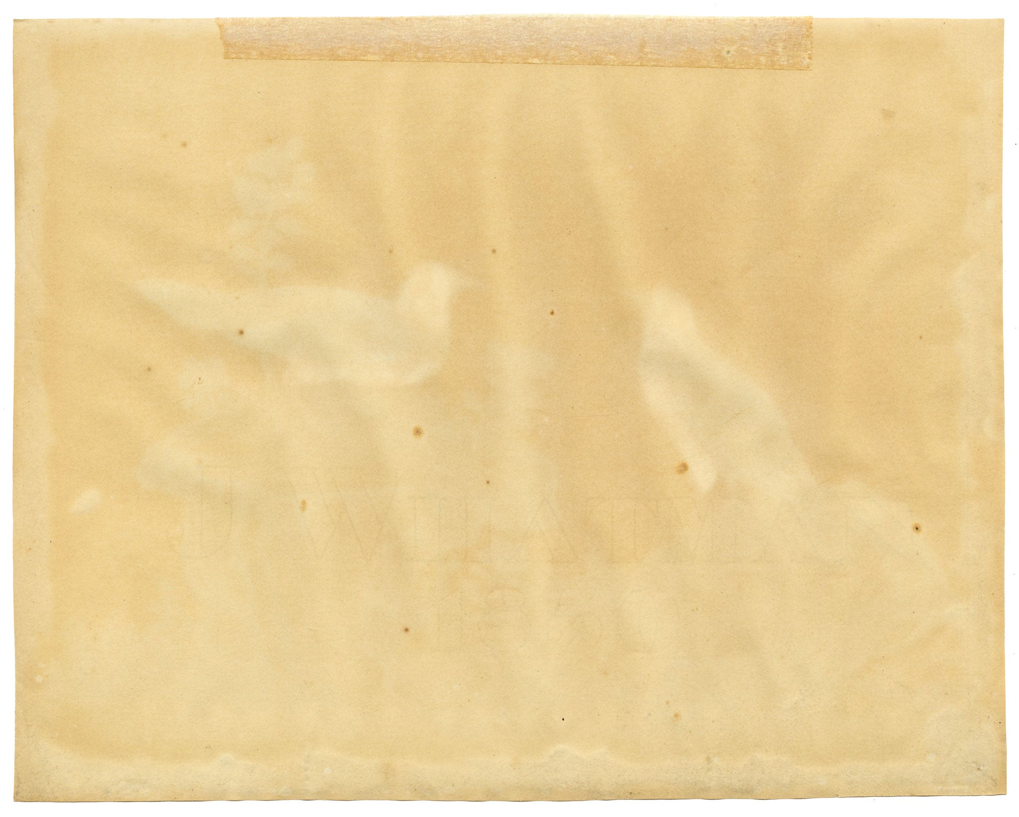 Antique 19th-century Chinese Pith Painting – Pair of Burmese Myna Birds on Rocks