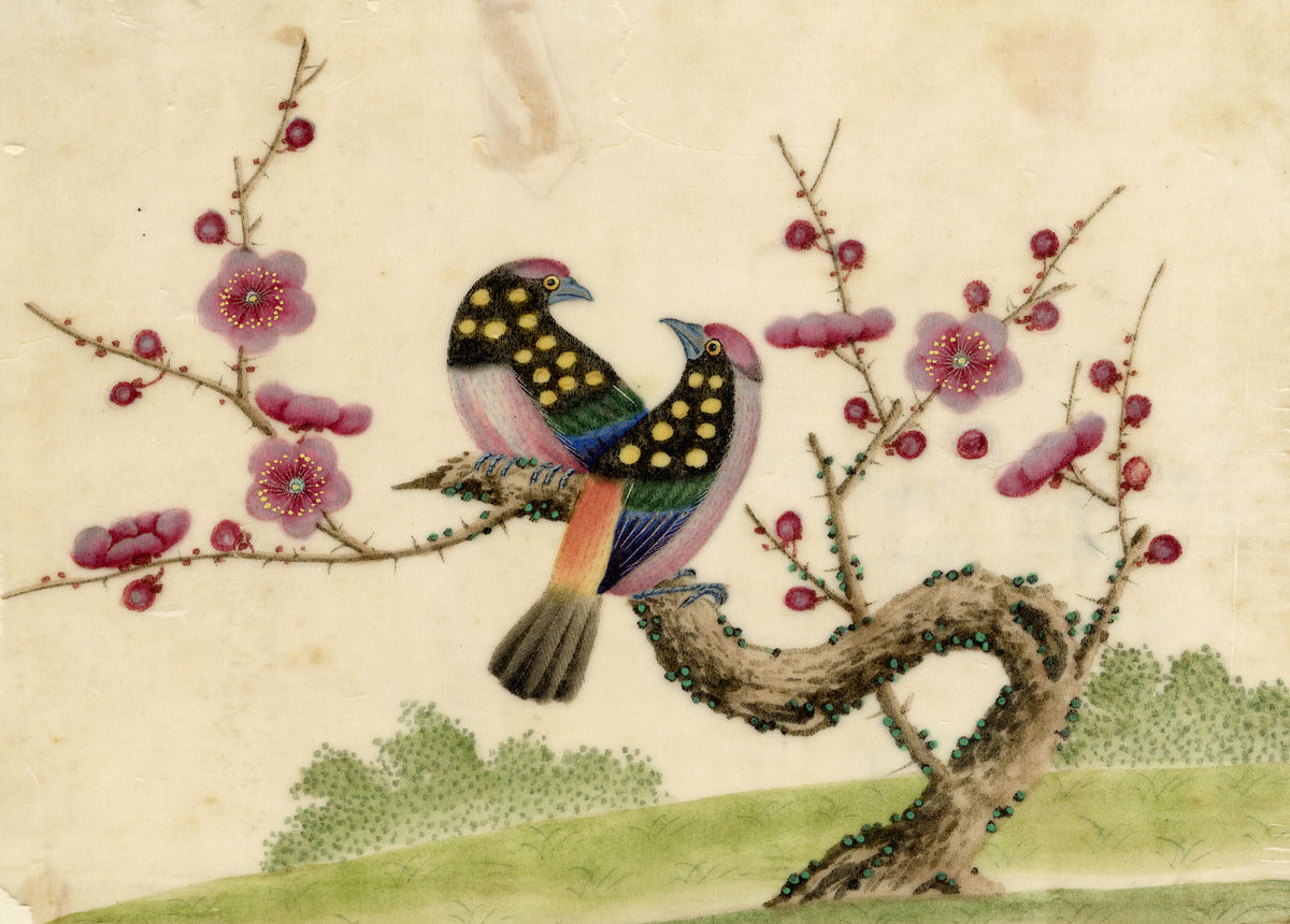 Antique 19th-century Chinese Pith Painting – Pair of Birds on Blossom Tree