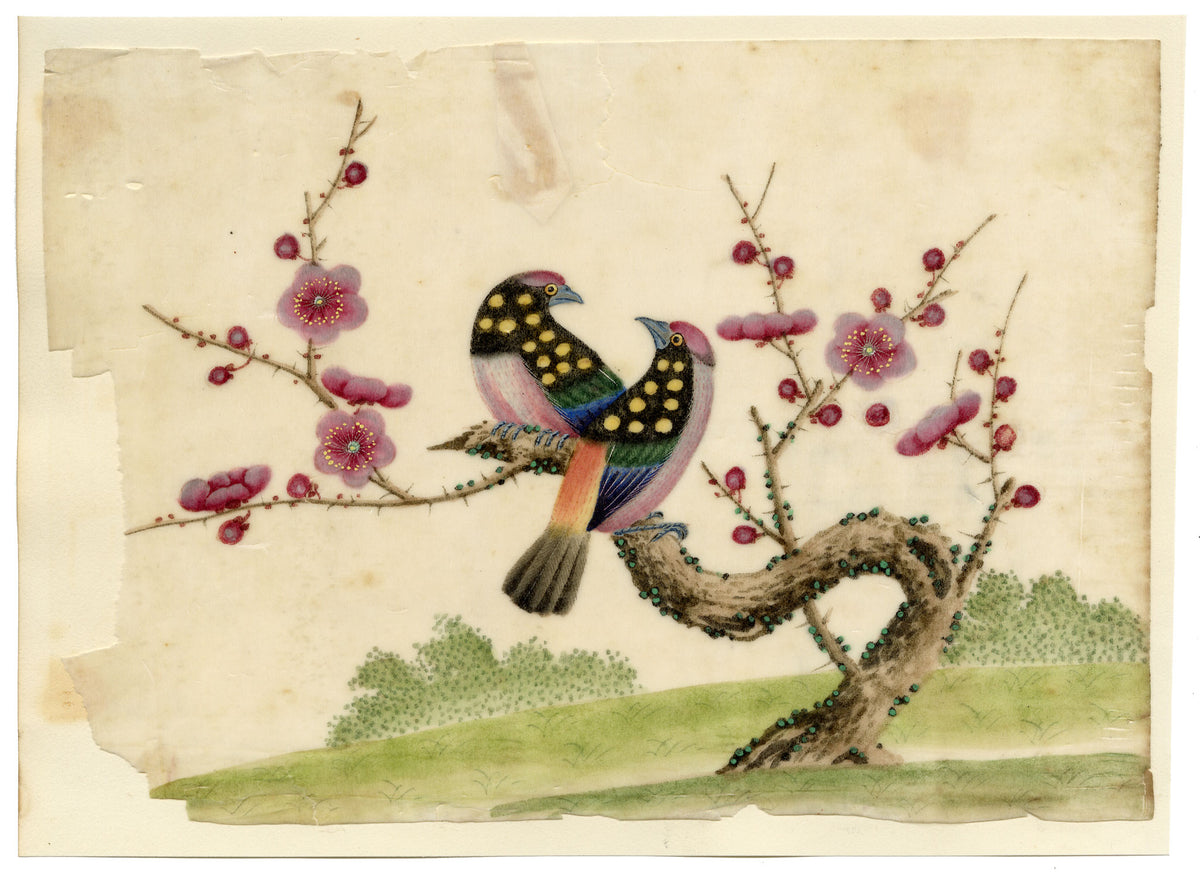 Antique 19th-century Chinese Pith Painting – Pair of Birds on Blossom Tree
