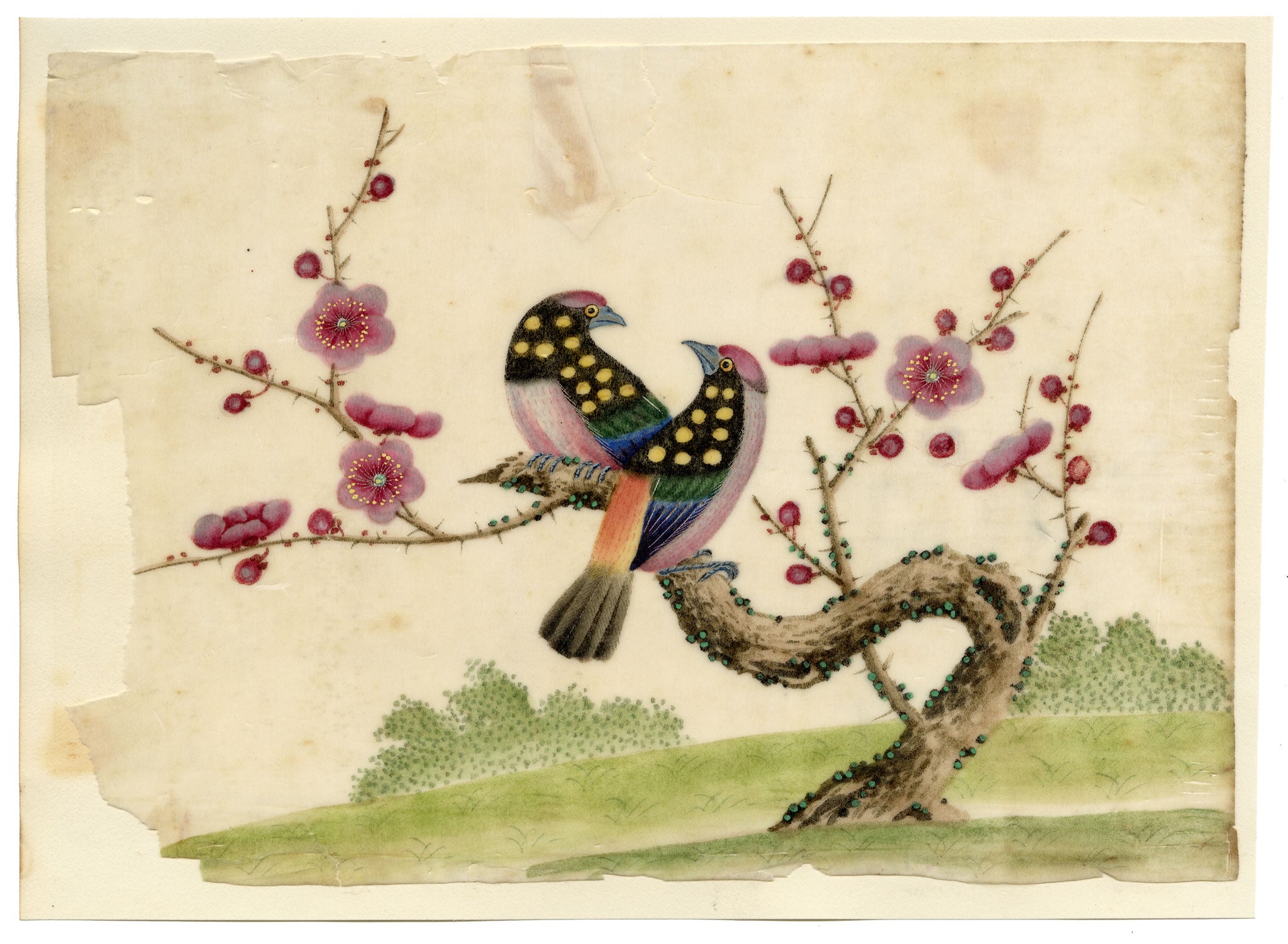 Antique 19th-century Chinese Pith Painting – Pair of Birds on Blossom Tree